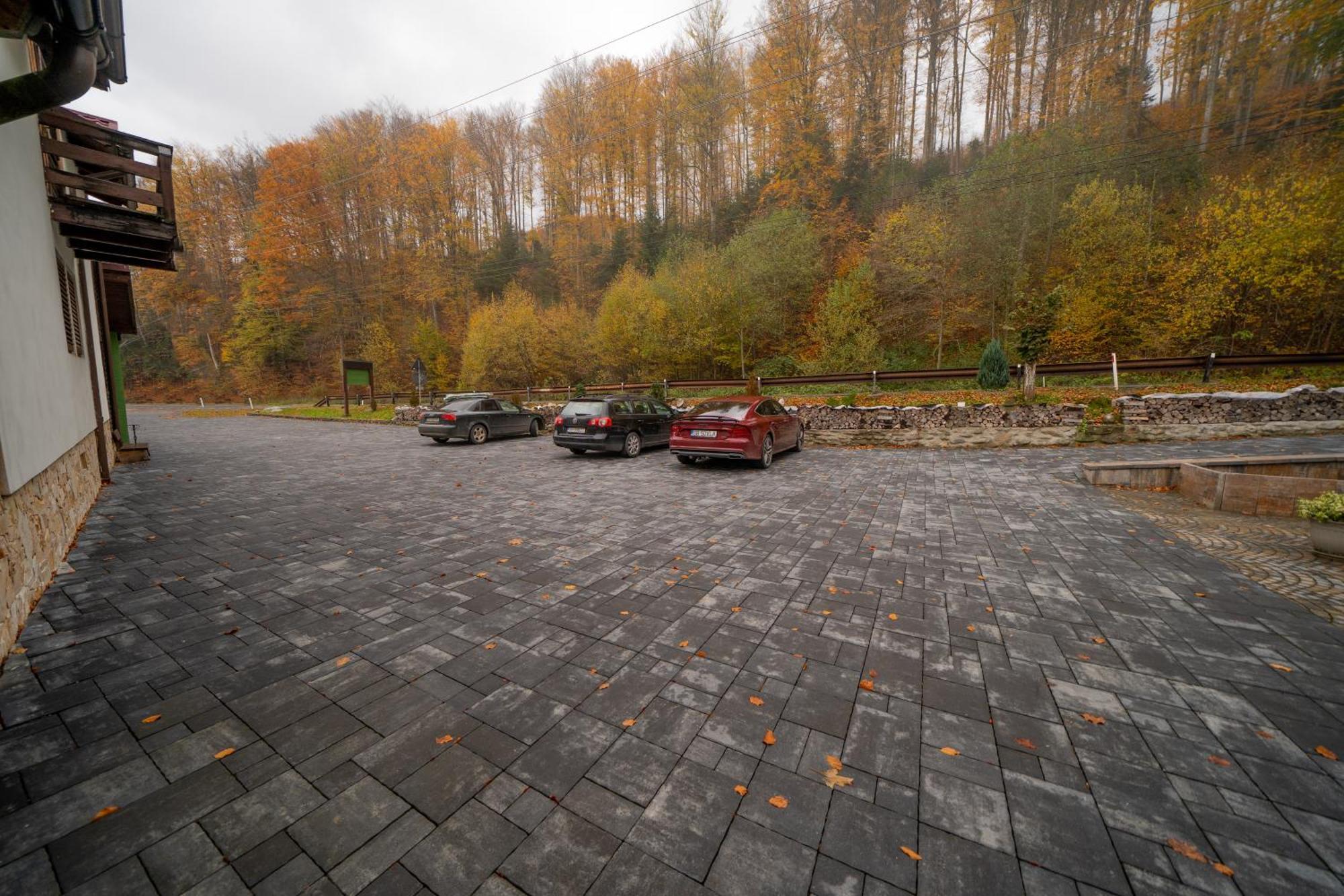 Popas Turistic Transfagarasan Hotel Cartisoara Exterior photo